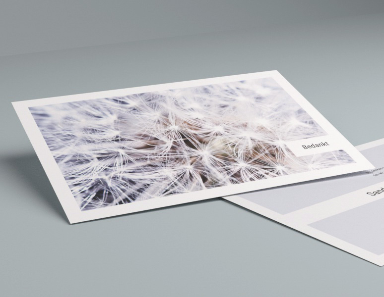 Wander Dankbetuiging