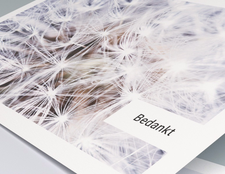 Wander Dankbetuiging