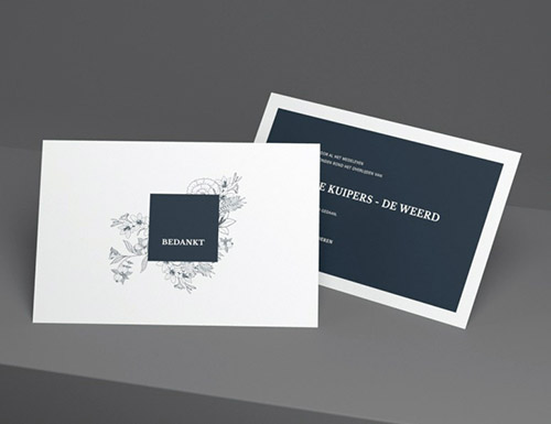 Marigold Dankbetuiging